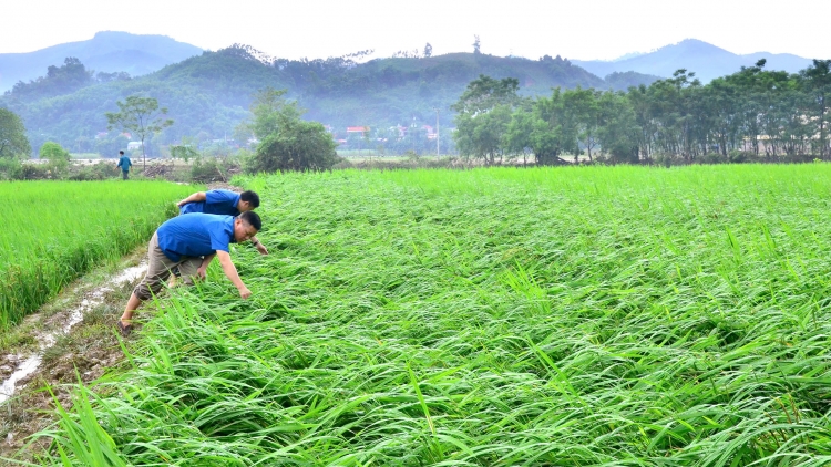 BẮC KẠN: LỒNG LÈNG KHẢM QUÁ BẠI DƯỞNG SLÁI HẢI LĂNG PÀY NẶM THUỔM SLE HẾT KIN ĐĂM CHAY TÒ TẺO