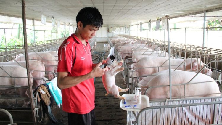 Dak Lak n’hanh njrăng n’gang srê ta mpa rong