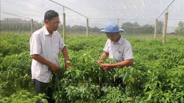 NJAM PATAM HU KEIN LABA GLONG MENG 2 TAL 3 MBANG DI TIỀN GIANG