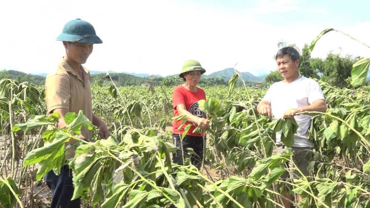 YÊN BÁI CHÁU BÚNG ĐIN CHAY CO MỌN LAI TẢI ẾT DÚ PẠNG BẮC LĂNG XÁ NẶM NOÒNG