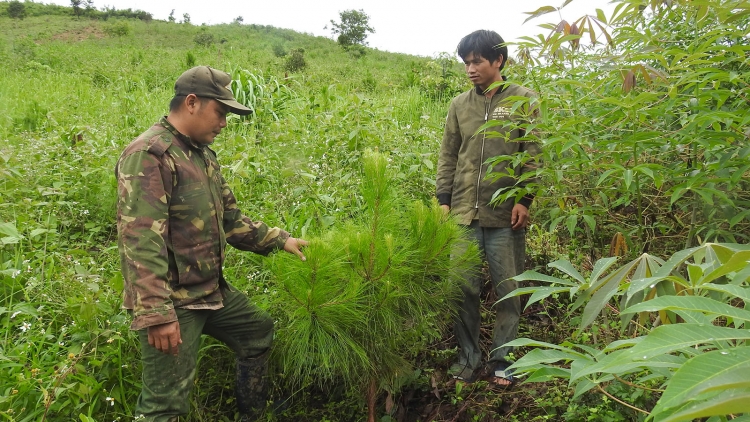 Pơtăm ming ‘long tơ̆ roi teh phui phang vă bơngai Xơ Đăng đei tơdrong arih xa kơjăp ‘lơ̆ng