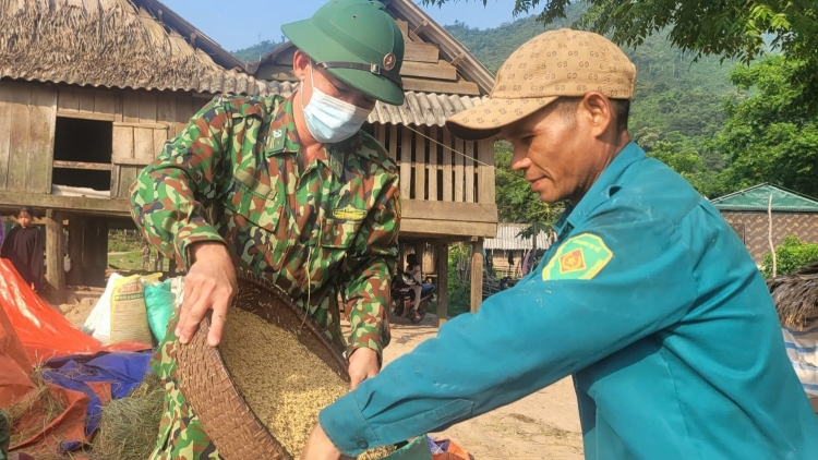 Quảng Bình: Gieo hạt ngọc, gặt ấm no trên đỉnh Giăng Màn