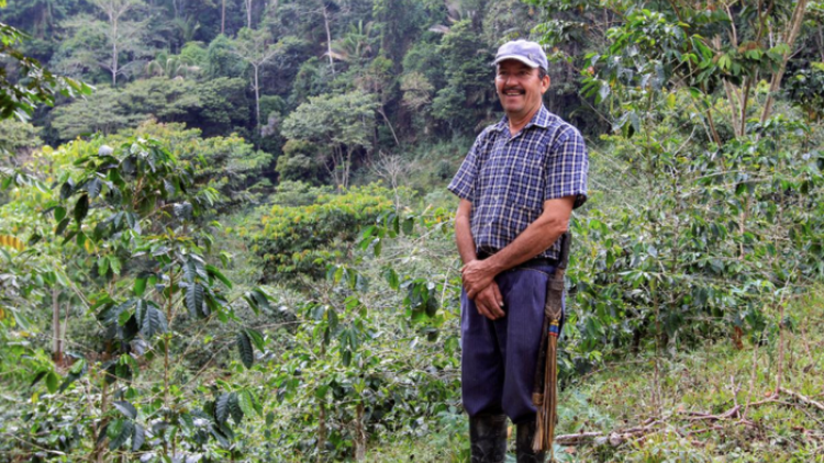 Nông dân Colombia chuyển từ trồng coca bất hợp pháp sang du lịch sinh thái