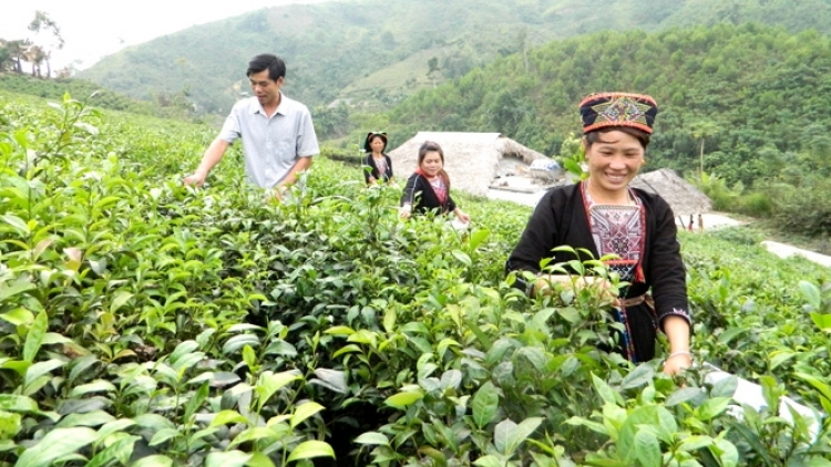 Tuyên Quang – dôm tơdrong iŏk đei blŭng a mưh bơ̆ jang pơm hơtŏ kơplăh drŏ kăn hăm drŏ nglo