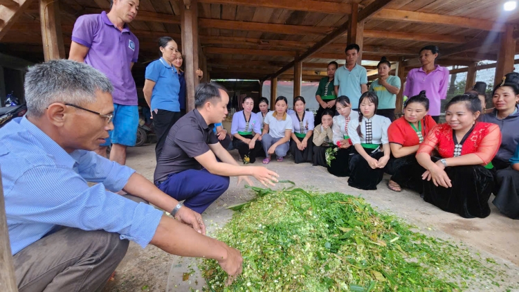   "Chìa khoá" để người dân Mường Nhé thoát nghèo bền vững 