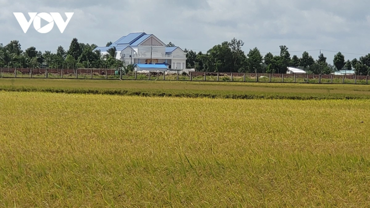 PALA PADAI HADAH KRAH BA MAI JIEN MEK TAME GLAONG