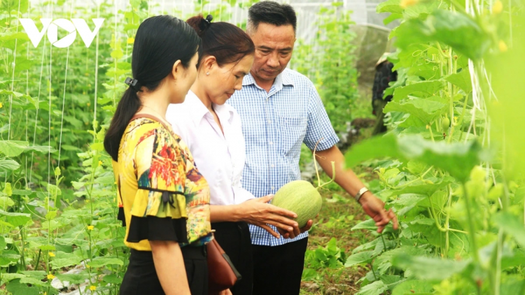 JAK JENG BA NGAK NONG CONG NGHE GLAONG TAME BHUM TANEH DHAONG, LAKHUN 