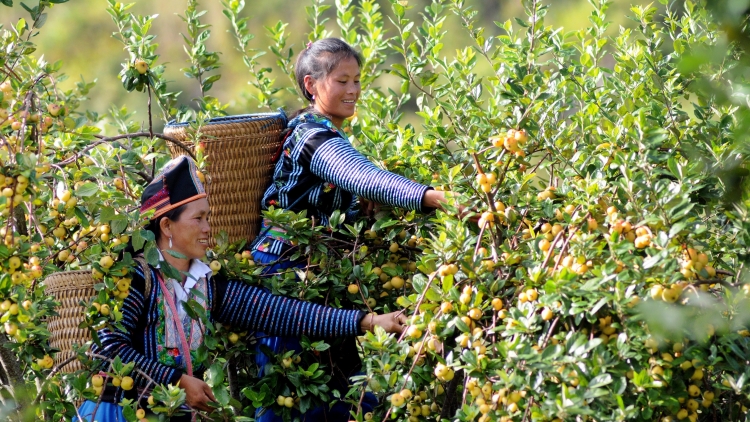 Rak vế tŭm hnoăng dêi kuăn mơngế ăm hdroâng kuăn ngo ki iâ mơngế