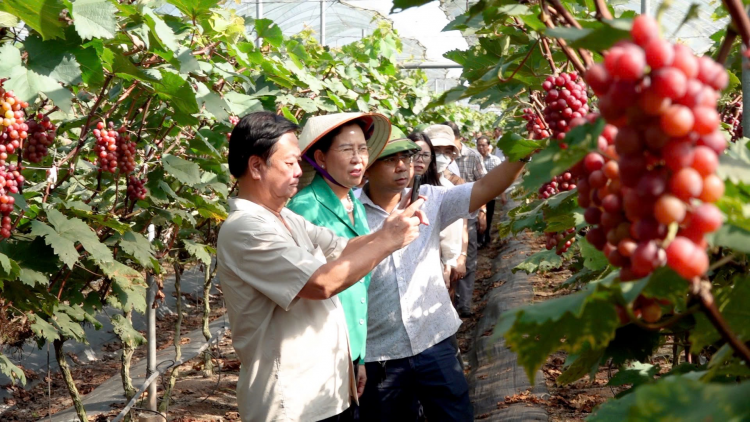 MBANG AKAOK CAMEREIP PEIH NGAK DIEN DAN “YAOM PANG URANG NONG NDOM”