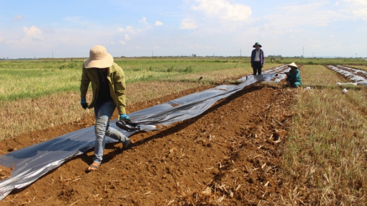 BẠI MÒN CẨN CHẮC PỬA AU NILON MÀ DÀ LUỘNG CO CHAY DÚ RẨY BỐC.