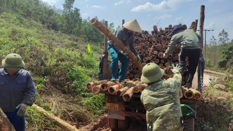 ĐÔNG MẠY LĂNG XÁ PHÂN LỒM PẲT PẢO BÀI TẢI 2: SLE BẠI ĐÔNG MẠY KHĂM KHEO TÒ TẺO