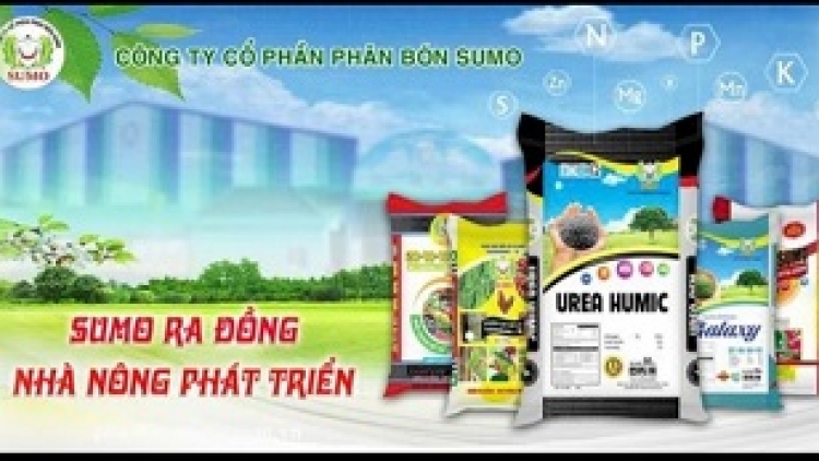 Xét tặng học bổng cho sinh viên dân tộc Chăm năm 2024   