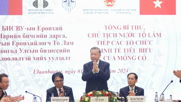 Pôa Tô Lâm, Kăn xiâm pơkuâ hnê ngăn Đảng, Kăn xiâm hnê ngăn tơnêi têa lăm pôu păng ‘nâng kong têa Ireland