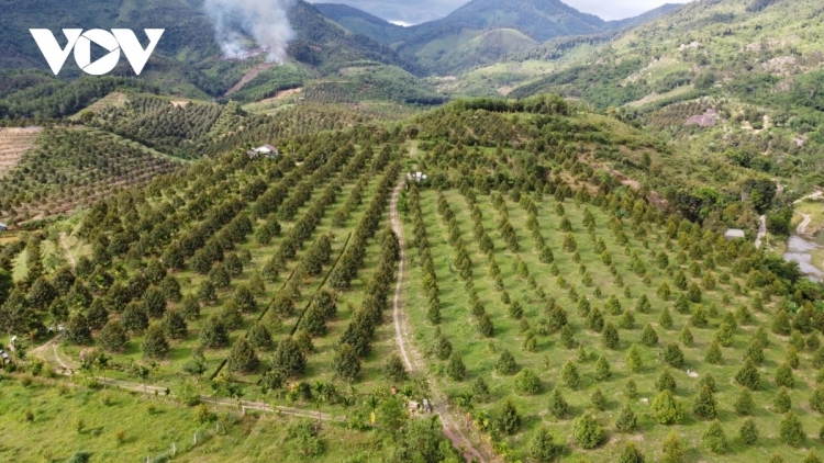 T’BHLÂNG BHRỢ K’RƠ OOY BH’RỢ DA DING K’COONG KHÁNH HOÀ