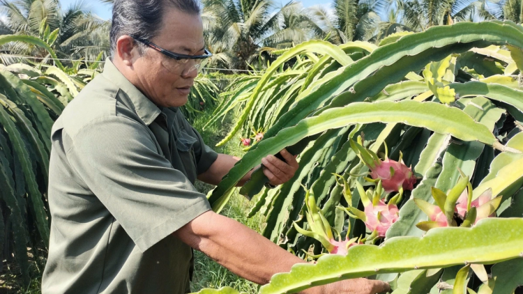 DOM URANG NDANG PRAONG THUN NGAK SIAM GHEH KA RAIDIUK