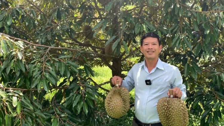 KỶ NGUYÊN VƯƠN MÌNH - Loạt bài "Định vị nông nghiệp Tây Nguyên trong chuỗi giá trị toàn cầu" - Bài 2: Nông nghiệp Tây Nguyên rạo rực trên những con tàu số hóa