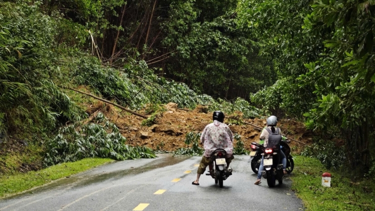 Quảng Nam: Di dời hơn 500 người dân bị sạt lở đe dọa