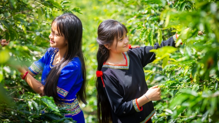 KON TUM PATAGOK PANDAP OCOP MENG KEIN LAGAIH HU RILO ABIH