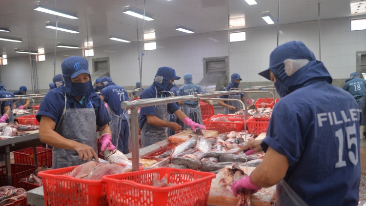 ពត៌មាន​ម៉ោង១៥