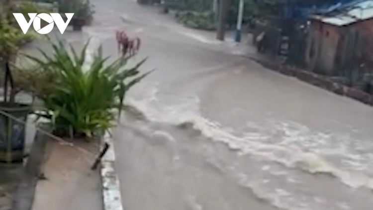 CÙ LAO CHÀM, THÀNH PHỐ HỘI AN BOO NGÂN, BẤC ĐHỊ NONG ĐHẬU