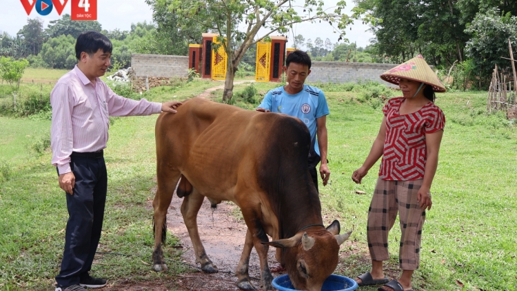 ធ្វើឲ្យសម្បូណ៌បែបរបរចិញ្ចឹមជីវិតដើម្បីបន្ថយភាពក្រីក្រចីរភាពនៅស្រុកភូតឹង ខេត្តអាងយ៉ាង។