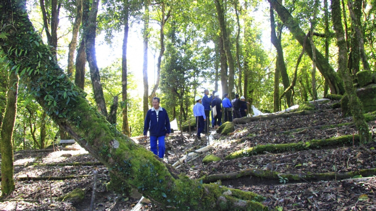 Đei yoa 'lơ̆ng đơ̆ng pơtăm 'long pơgang tơ̆ Kon Tum