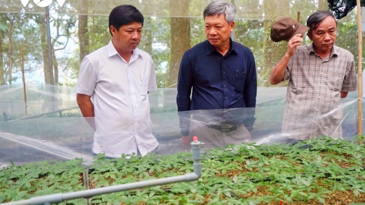 TỈNH UỶ QUẢNG NAM PA GLÚH NGHỊ QUYẾT ĐẮH PA DƯR PA XỚC SÂM NGỌC LINH