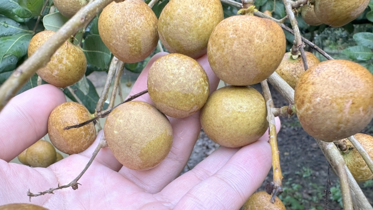 ពត៌មាន ម៉ោង​ ៦