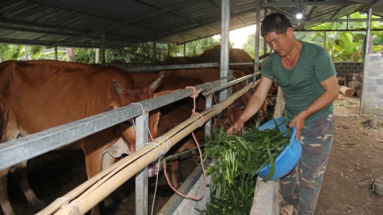 Ngon tô thứ 4 mự 04 căm bườn 12 pì 2024 – NGON TÔ KHÙ PO HAY ME NA CẬN HỤ SỐ 10 -Ven xanh pộn dỏn nẳng bản Phiềng Khàm