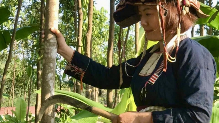 Làn nhiếu miền tzấu nhàng thun hênz