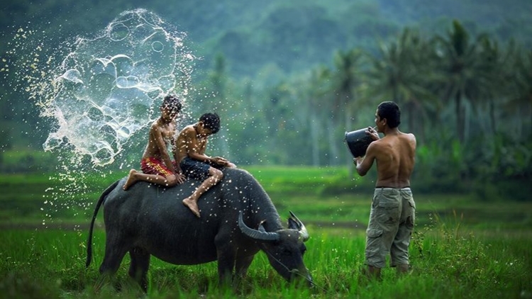 CHƯƠNG TRÌNH KHAY HENG TÀY-NÙNG (Thứ Ba- Vằn xo 10/12/2024)