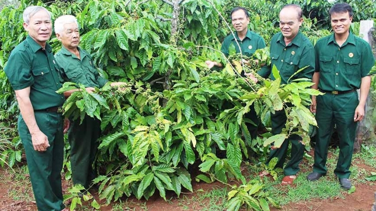 Mâu mố đô̆i hneăng hdrối Bơhnéa djâ troăng tung pêi cheăng kâ