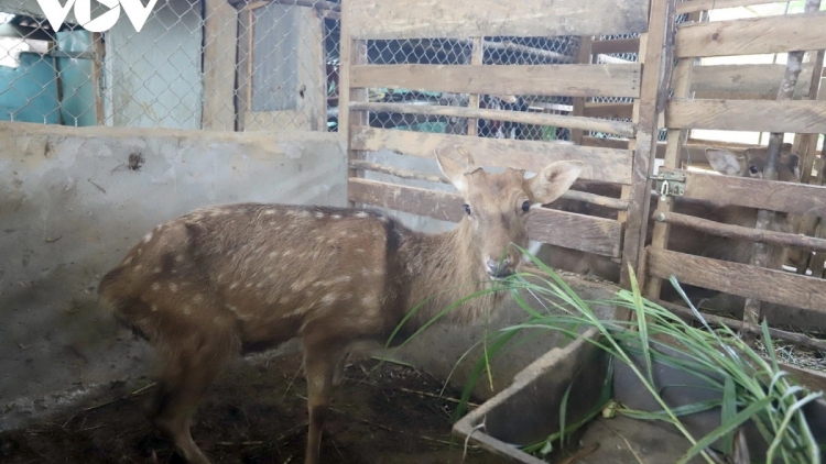 BĂN CHR’GƠƠNG C’LÂNG DƯR ZI LÂH ĐHA RƯT ĐHỊ DA DING K’COONG 