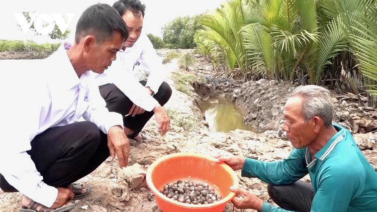 CAMAU: AKAOK PALEI ABIH TUNG TIAN KA BAOH SANG URANG BANGSA TAKIK