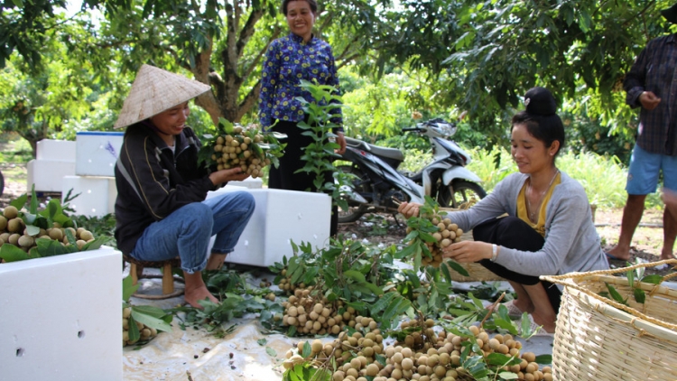 Chương trình phát thanh quam Tay thứ 4 mự 18 căm bườn 12 pì 2024. 