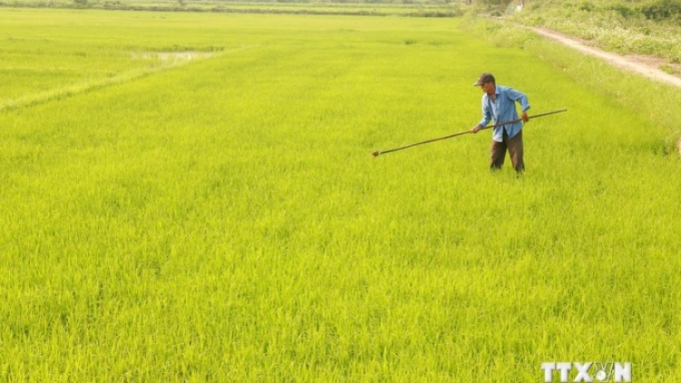 QUẢNG TRỊ: VÊY K’NẶ 180 TỶ ĐỒNG ĐOỌNG CHA BÊỆT BHRỢ HA ROO HỮU CƠ K’RONG BHRỢ ĐH’RƯAH T’ĐUI OOY RÂU CHR’NĂP