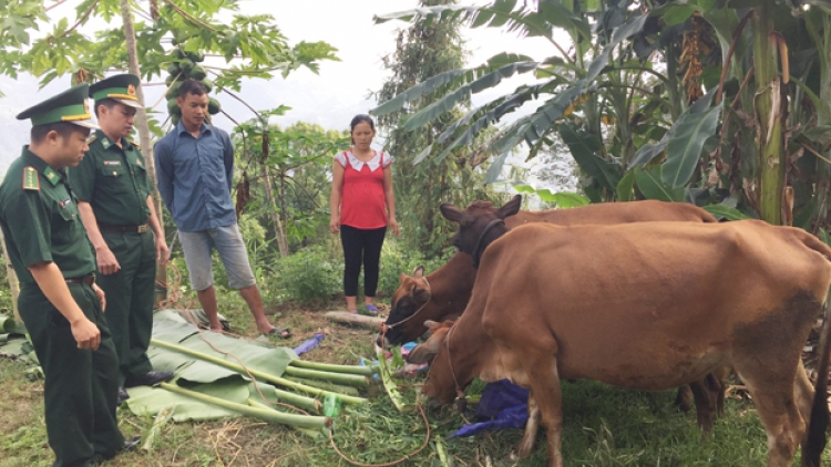 Tình quân dân vùng biên giới