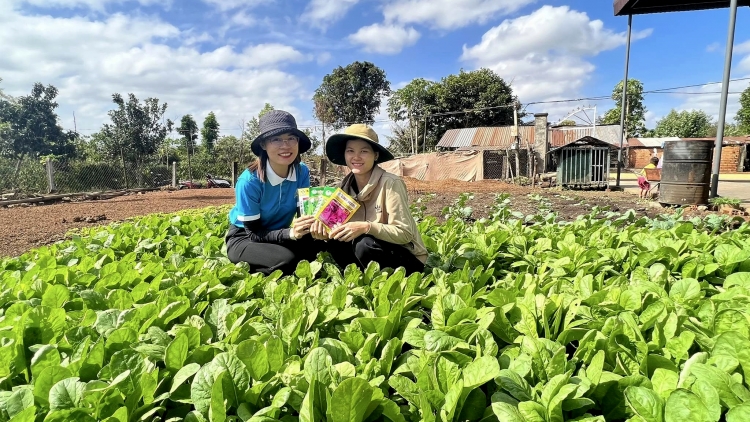 PÂN ĐIL ĐẮK LẮK CHROI K’RONG C’RƠ BHRỢ TÊNG VEL BHƯƠL T’MÊÊ TƠỢ CR’NOỌ BH’RỢ “3 SẠCH”