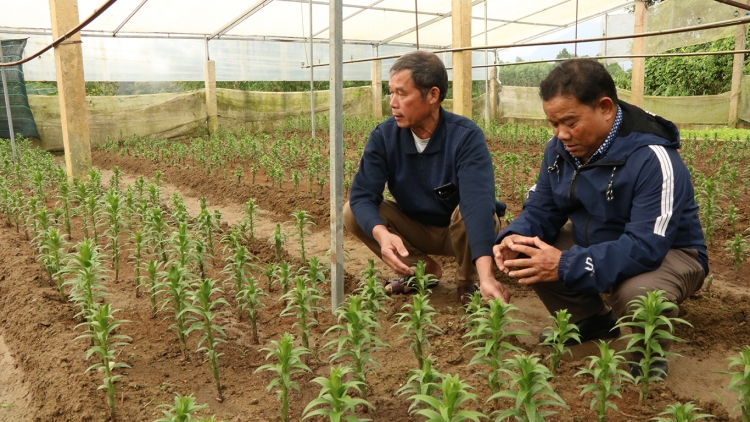 PÔ ĐHỊ K’TIÊC CHA CÊÊT RA NGOOH VAIH LIÊM CHOOM COH K’COONG CH’NGAI HUẾ