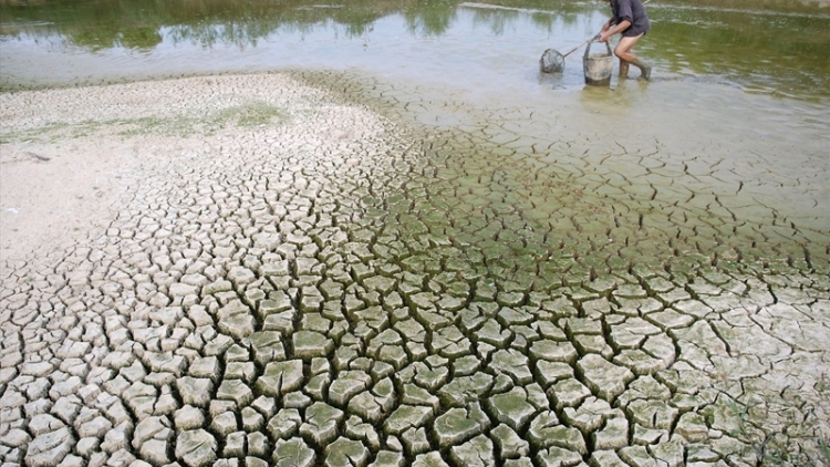  DOM MENTRI DOM GAH, BHUM PALEI CAGA DAHLAU PACANG PANDIAK BHANG, KURANG IA, NJOM IA MBAK