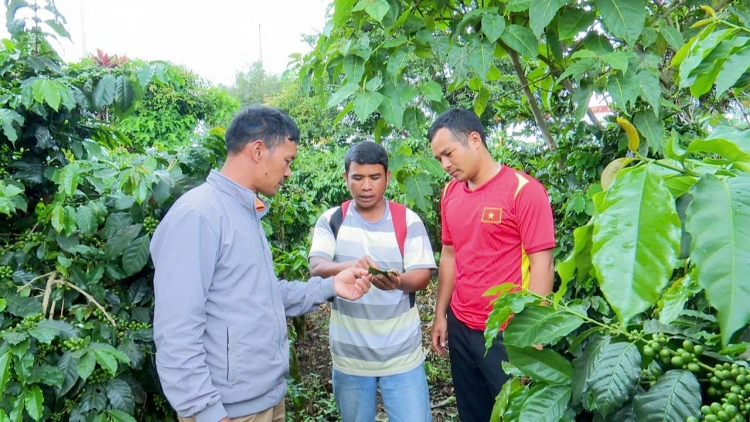 Lâm Đồng lar hyu 3 mơta tơlơi kiăng ngă, 4 mơta tơlơi kiăng bĕ amăng mơnuih apăn bruă, mơnuih ping gah 
