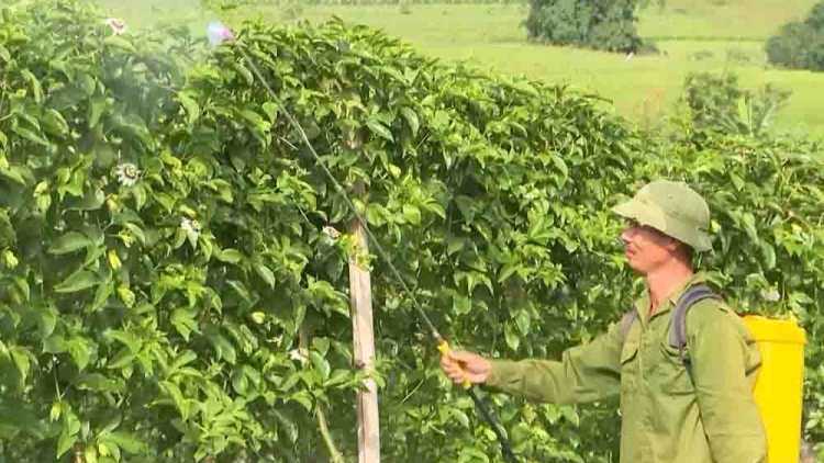 CO CHAY PANG HẨƯ PỈ NOỌNG DÚ BÚNG SLUNG LAI CHÂU TẢ KHỎ