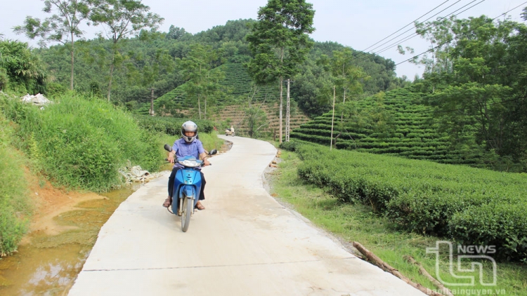 BẢN CỎN TỐI MẤƯ DÚ SLẢNH THÁI NGUYÊN