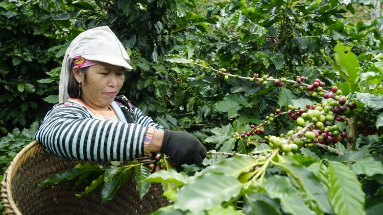 Tây Bắc sut pơđĭ tơnuh vă jang tŏk pơdrŏng