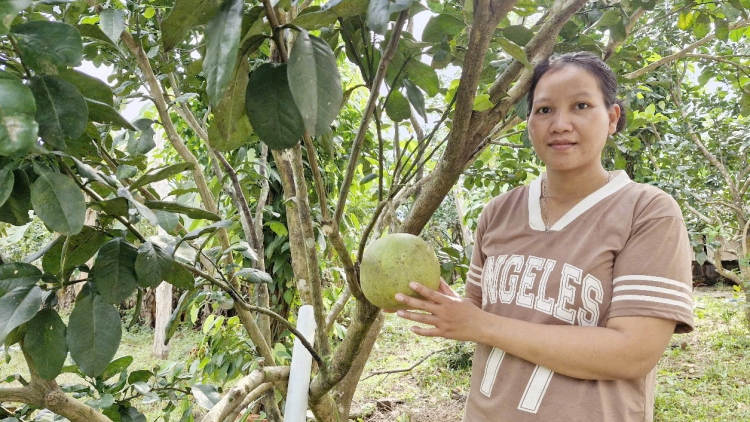 T’VAIH PR’ĐƠỢ ZOOI ĐHANUÔR ACOON COH QUẢNG NAM Z’LÂH ĐHA RỰT 