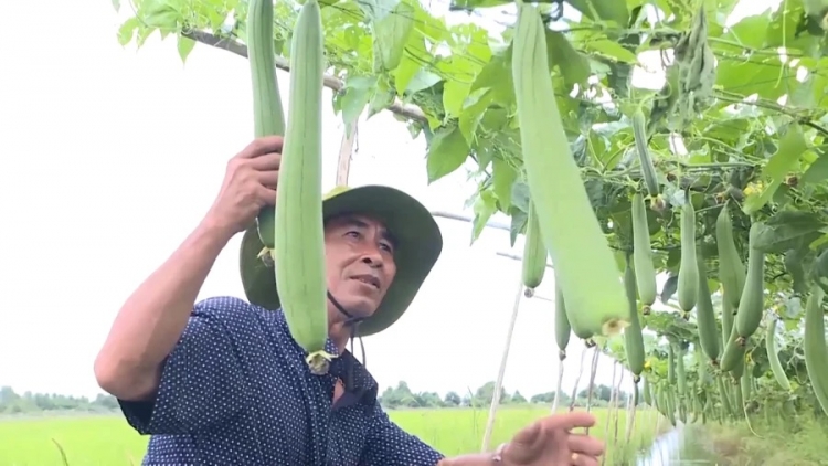 DOM HARAK LAKAU TABIAK KATHAOT