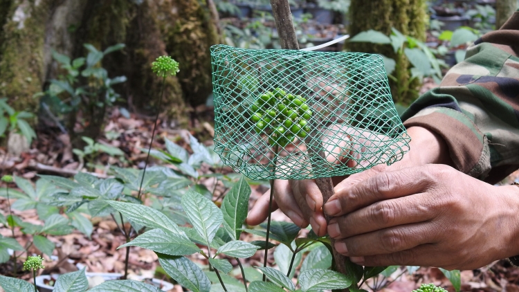 Tahen Kon Tum tâm kơl jut n’huch ach o