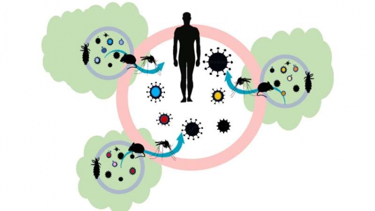DUAH THAU KA BAOH PANUAC "PAMBAK RUAK", "MBAK RUAK" SAONG "NJOM RUAK"