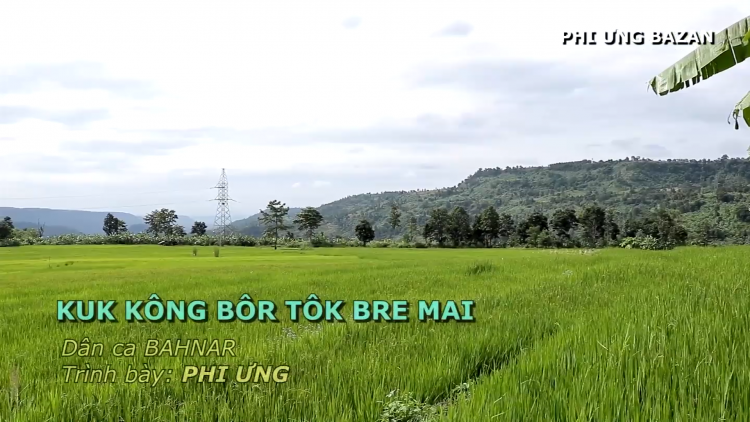 Kuk kông bôr tôk bre mai (Chim bôr tôk gọi em)