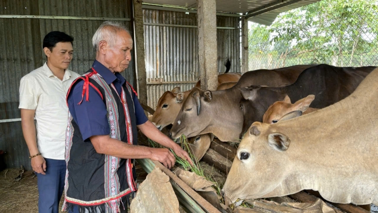 Klei čih: Dơ̆ng mơ̆ng klei soh čhuai lŏ wĭt hŏng ƀuôn sang Klei čih tal 3: Yan mnga hơuh mđao ti dŭm ƀuôn êlan Lăn Dap Kngư 